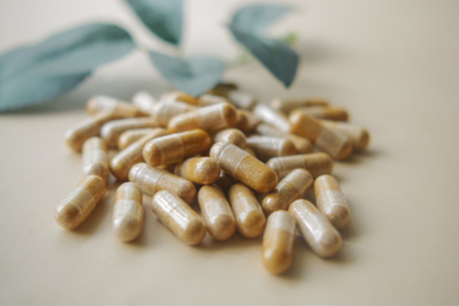 Probiotic capsules on a table, where strain matters more than the label suggests